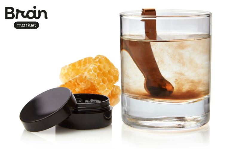 shilajit voda med